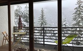 Superbe 2 pcs cabine terrasse vue féérique pistes et montagnes